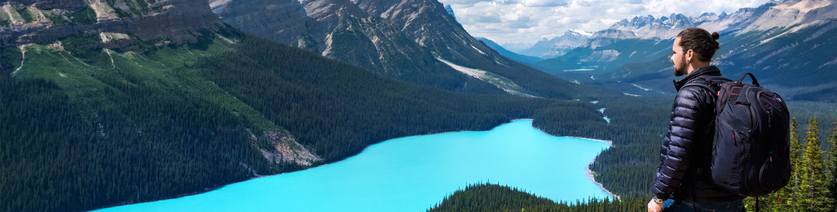 Male student looking over Peyto Lake in Banff National Park, Alberta