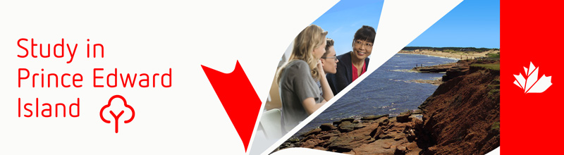 Red cliffs overlook white sand beaches; Students interact with their smiling professor against a clear blue sky.