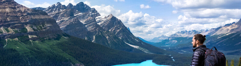 Male student looking over Peyto Lake in Banff National Park, Alberta 