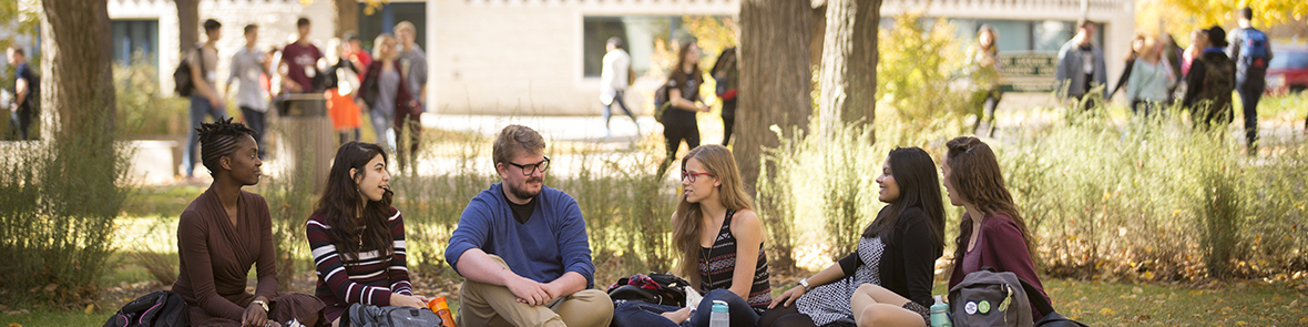 Students sitting on lawn